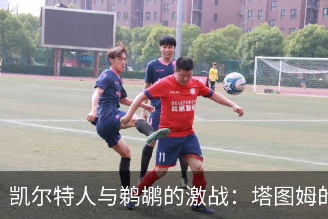 凯尔特人与鹈鹕的激战：塔图姆的杰出表现与历史地位